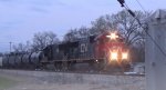 CN A40791